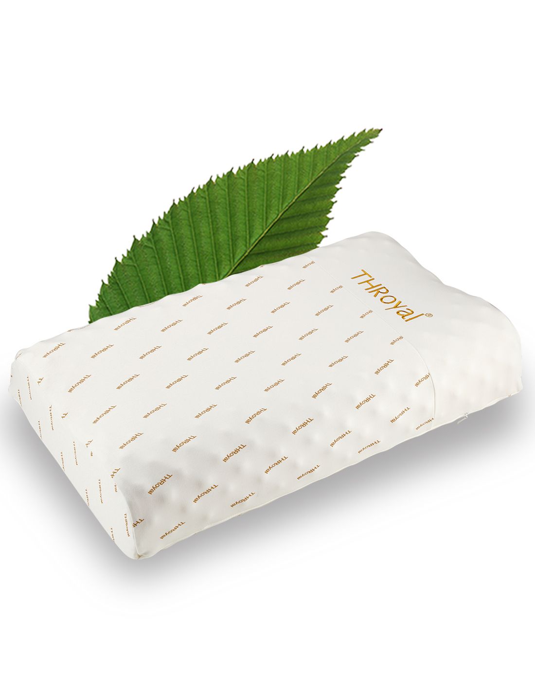 慕思集团董事长王炳坤在主题演讲中开宗明义