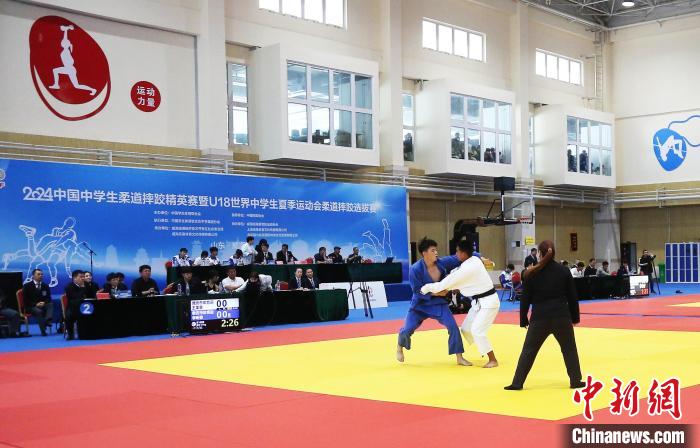 全国柔道小将齐聚山东威
